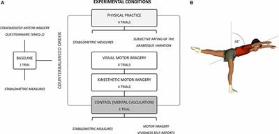 Stabilometric Correlates of Motor and Motor Imagery Expertise